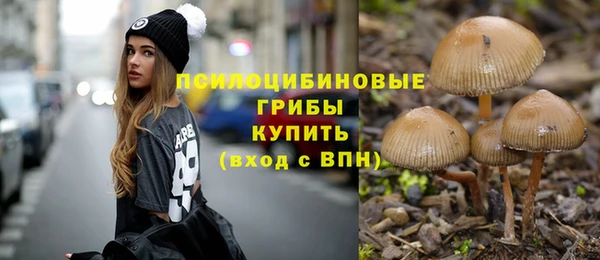 экстази Гусь-Хрустальный