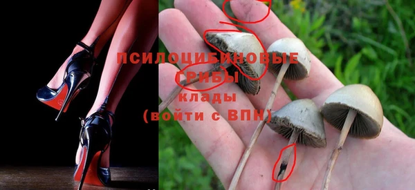 экстази Гусь-Хрустальный