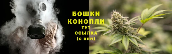 прущая мука Гусиноозёрск