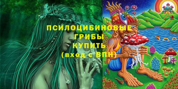 прущая мука Гусиноозёрск