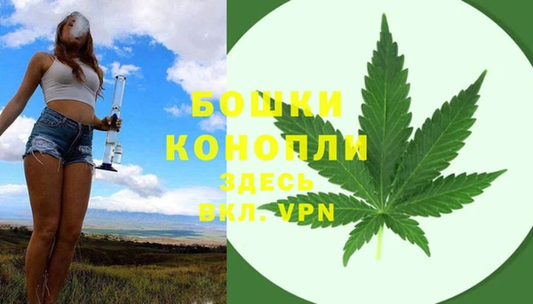 экстази Гусь-Хрустальный