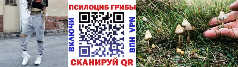 Псилоцибиновые грибы Psilocybine cubensis  Купить  Кимры 